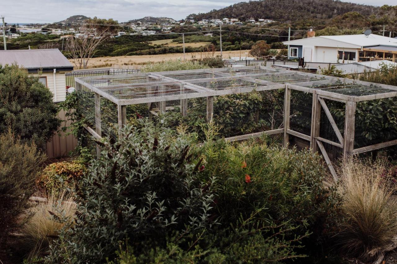 Bicheno Gardens Βίλα Εξωτερικό φωτογραφία